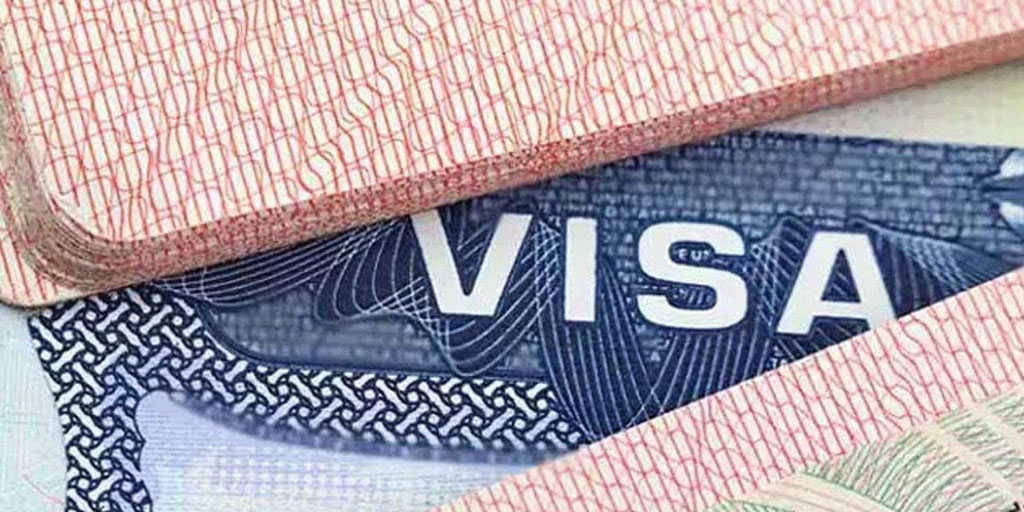 visa immigration consultants