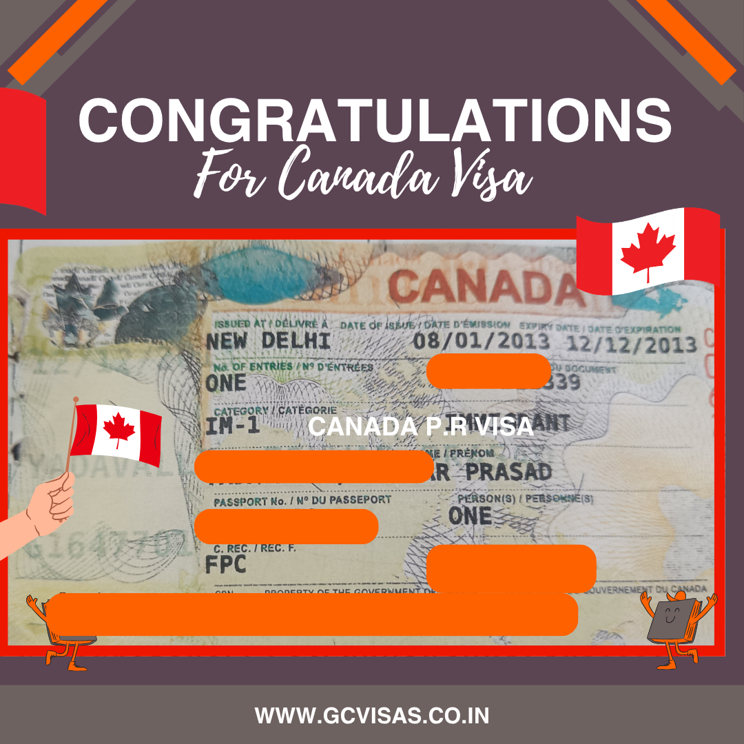 Visa Approval Grant 11