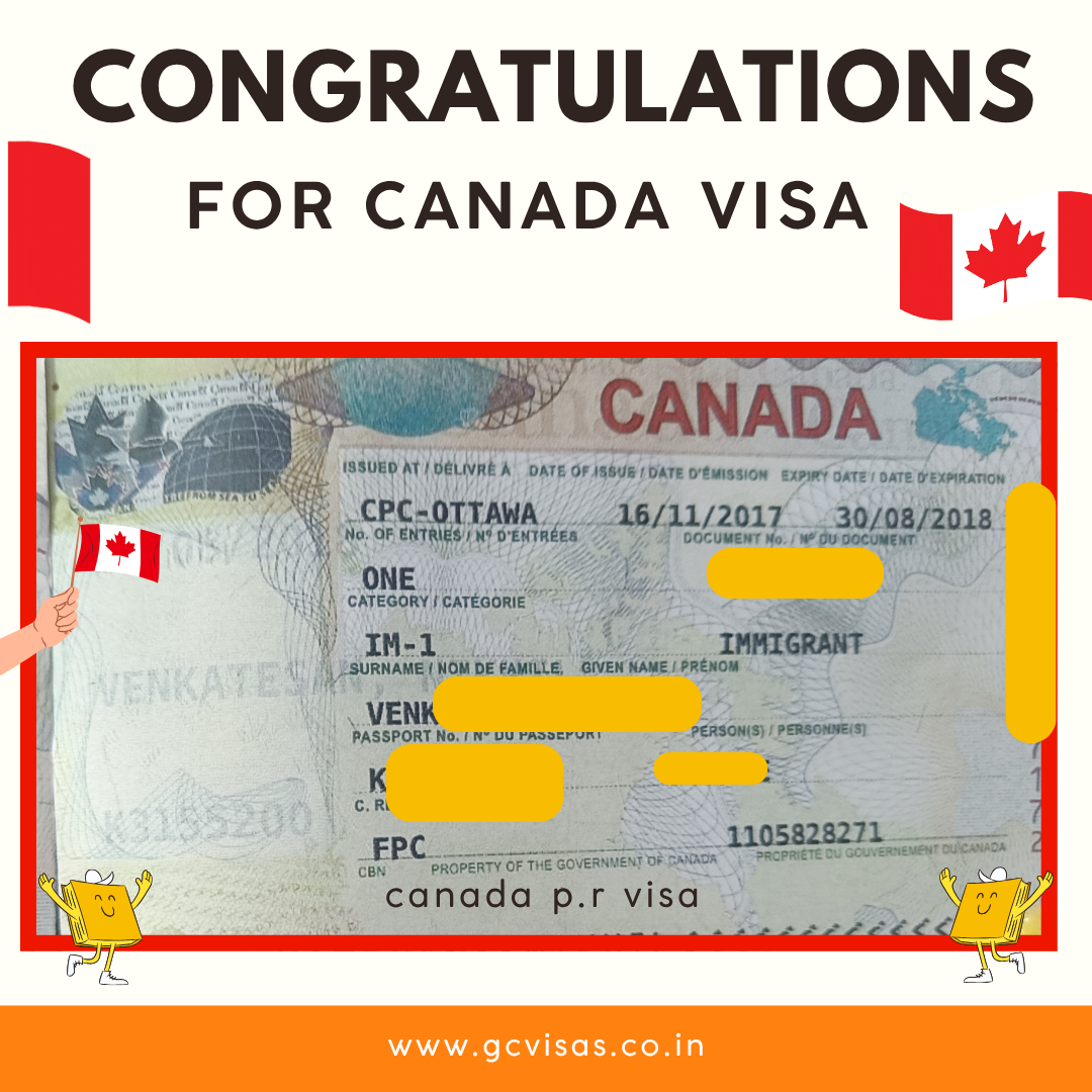 Visa Approval Grant 8